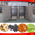 Industrial Fruit and Vegetable Drying Equipment Dehydrator