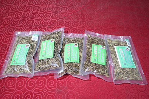 Dried Mealworms for Chicken