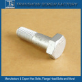 1000 Hours Anti-Corrosion Organic Coated Bolt Nut