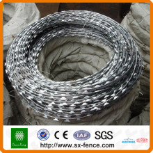 alambre de púas galvanizado (BWG 12x14, BWG 16x16)