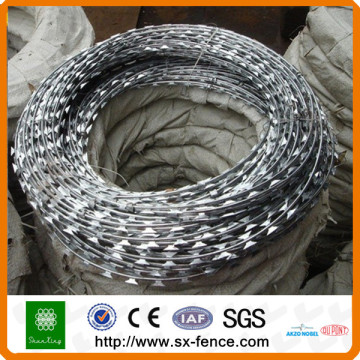 alambre de púas galvanizado (BWG 12x14, BWG 16x16)