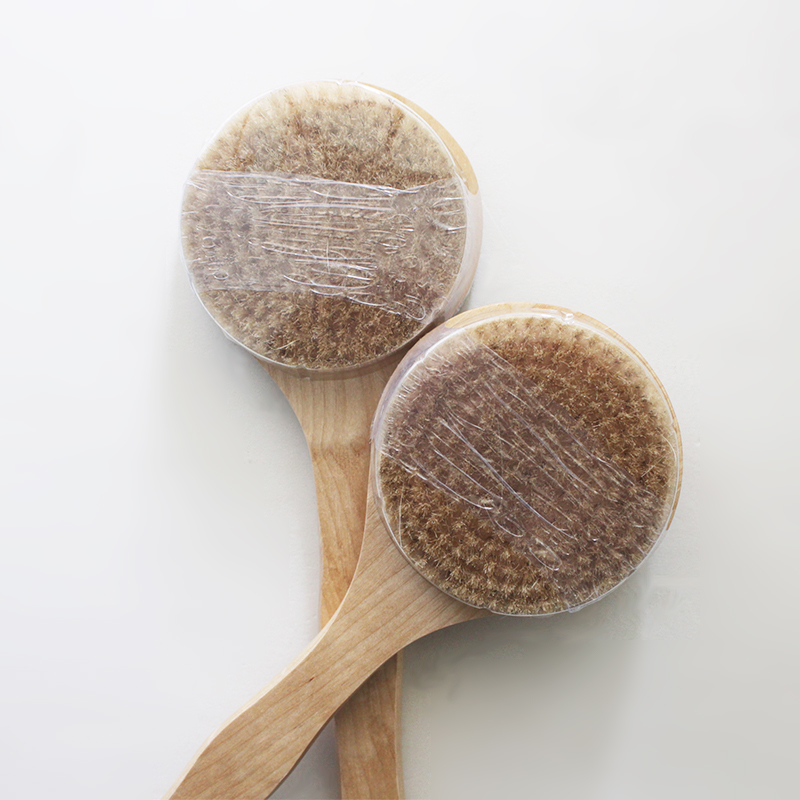 Long Handle Bath Brush