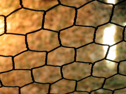 vinyl coated chicken wire netting