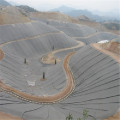 Geomembrane HDPE/LDPE for Architectural Engineering