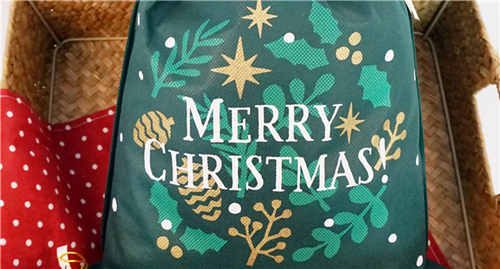 Chirstmas Gift Bag