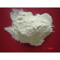 White Garlic Powder 2016 to USA Standard