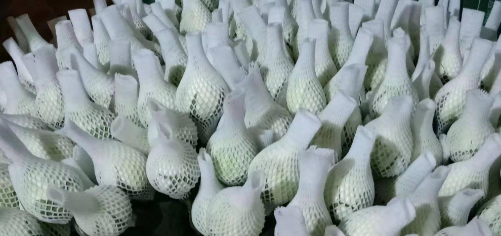PE Foam Fruit Mesh Production Line PE Foam Fruit Mesh Production Line