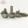 Ss 304 sextavado parafuso da Flange com colar serrilhada Bolt