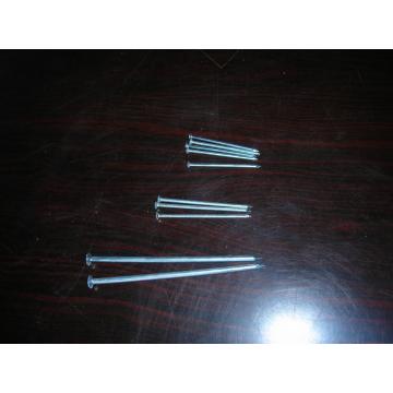 Hot Sale Good Quality Common Nails