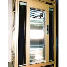 Professional Manufacturer Famous Brand XIWEI Safety passenger/Villa Elevator