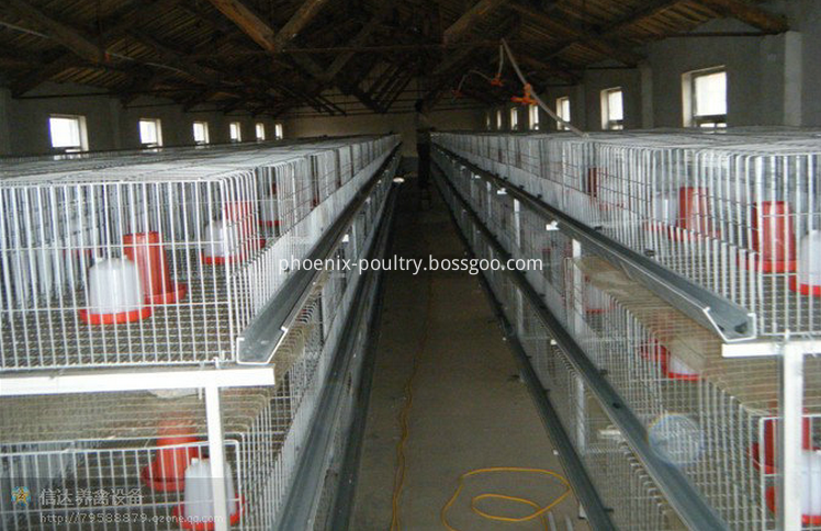 Poultry cage drinking system 