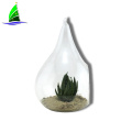 Glass Hanging Planter Hanging Air Plant Terrarium Decorative