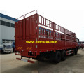 Dongfeng 20 Ton Box Cargo Trucks