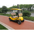 2 Seater 300CC Gas Powered Golf Cart
