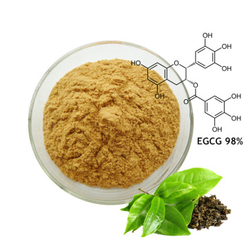 green tea extract Polyphenols EGCG