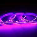 Flexible  White SMD2835 Mono 240LED Strip 12V