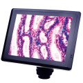 Bestscope Blc-220 HD LCD Digitalkamera