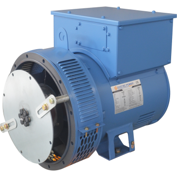 Brushless Industrial Low Voltage Generator