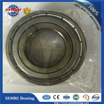 Single Row Stainless Deep Groove Ball Bearing (6306)