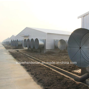 Light Steel Structure Poultry House for Morder Farm Equipment