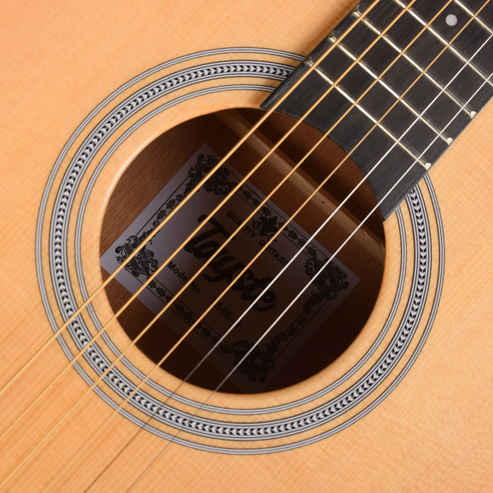 Ts66 Semi Guitar Acoustic Ts66 Semi Guitar Acoustic