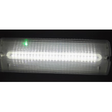 Ce Security Light, LED Light, LED Emergency Light