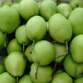 Heiße verkaufende neue Ernte der Shandong Birne