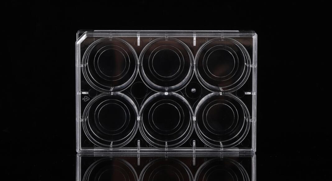 glass bottom plate glass bottom plate