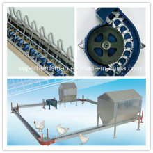 Top Quality Poultry Chain Style Farming Equipment for Breeder Chicken
