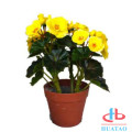 New high quality artificial potted plant for house