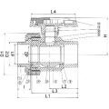 UPVC Single Union Spring Rückschlagventilbuchse