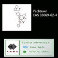 CAS 33069-62-4 Precio competitivo Exportación Suavemente 98% Paclitaxel