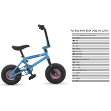 Fat Boy Mini BMX Freestyle Bikes (AB13N-1245)