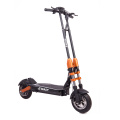 Leistungsstarker Offroad Electric Scooter 1000W