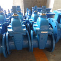 Resilient Seated Gate Valves