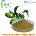 Extrait végétal naturel extrait d&#39;olive feuille oleuropéine 40%