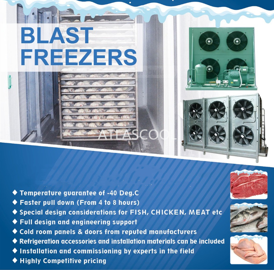 blast freezer cold room