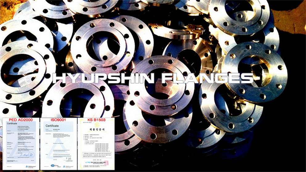 Hyupshin Flanges Slip On Plate Rf