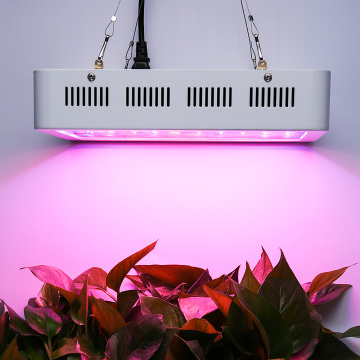 Full Spectrum LED Grow Light pour l&#39;intérieur