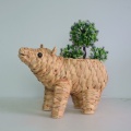 nature water hyacinth wolf like decoration pot and basket