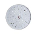 Fábrica rojo azul flor Epistar Chip 10W E27 Par 38 LED Grow Light