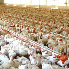 Bebedor plástico do bocal das aves domésticas automáticas para a casa das aves domésticas