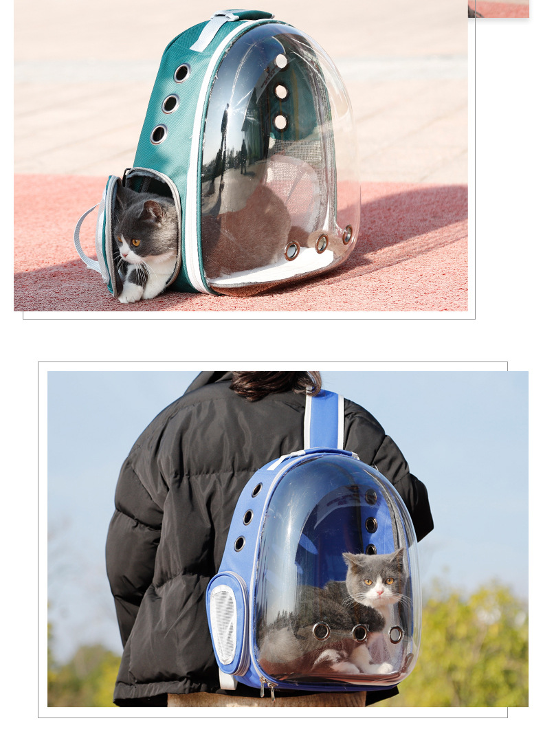 Pet Panorama Transparent Capsule Out Backpack Cat Backpack16