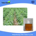 Acétochlor 900G / L EC Agrochimiques Herbicides