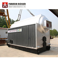 Fully Auto Biomass Fuel Industrial Hot Water Boiler