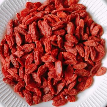 Berry Goji de alta qualidade