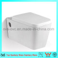 Foshan Sanitary Ware Russia Wc Toilet Bowl