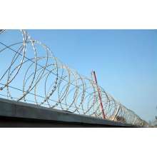 Galvanized Secure Razor Wire Fence