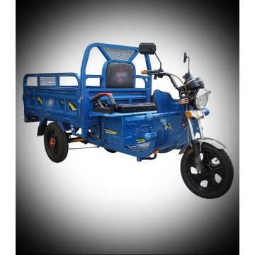 HS-Electric Tricycle 800W 60V20AH