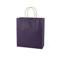 Colored Paper Bags with Handles